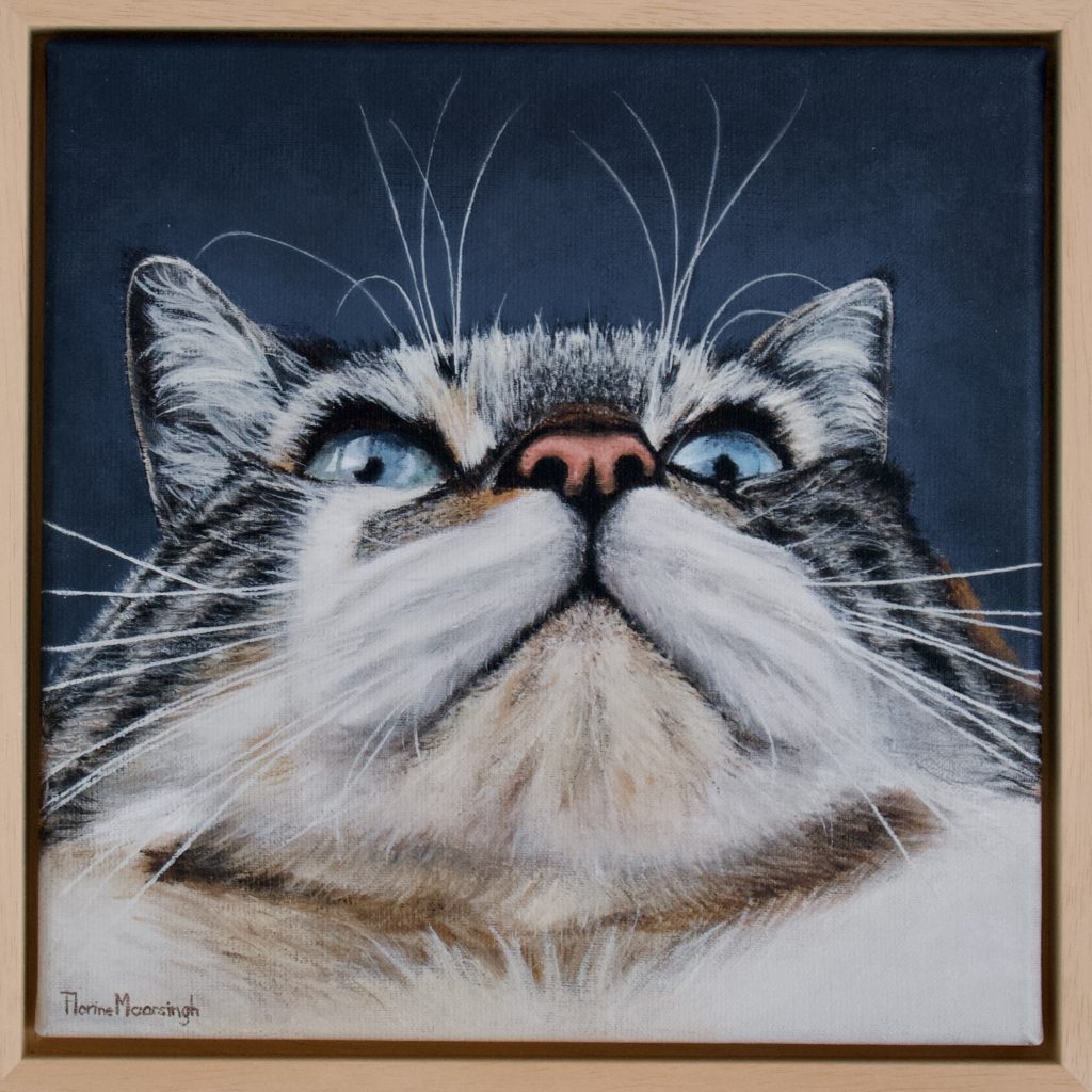 cat close up painting