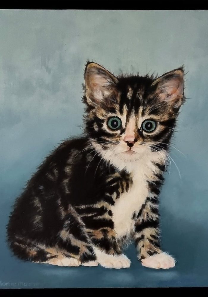 portrait of a kitten by art studio florine