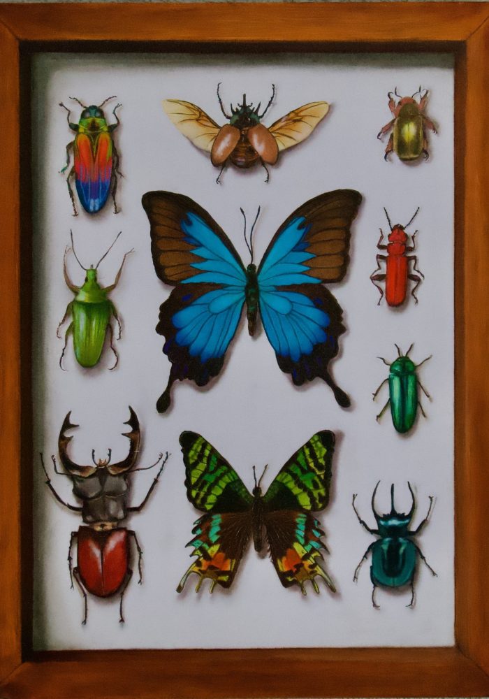 framed butterflies painting