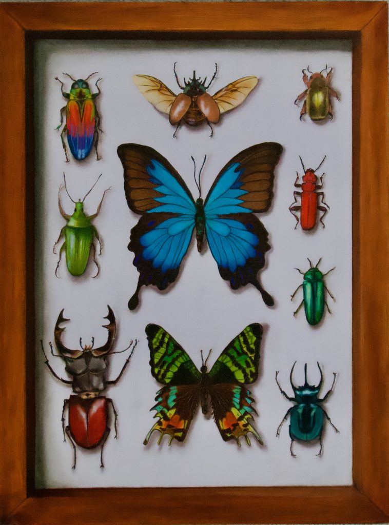 framed butterflies painting