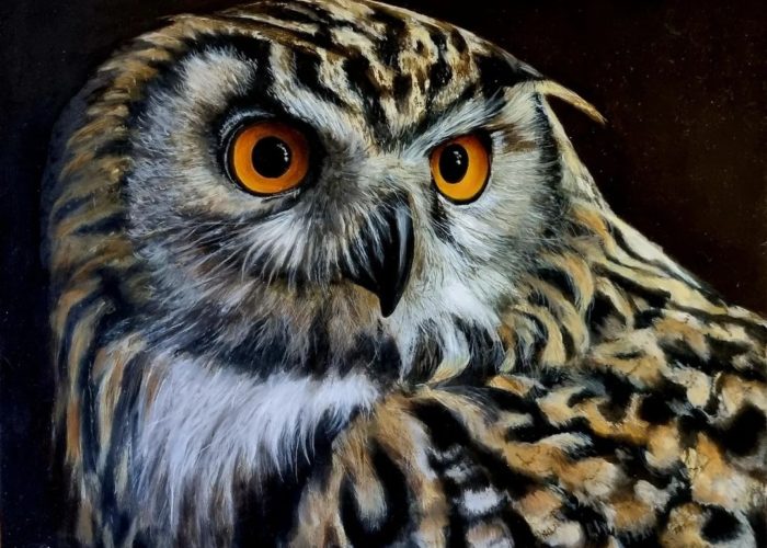 The Owl Painting