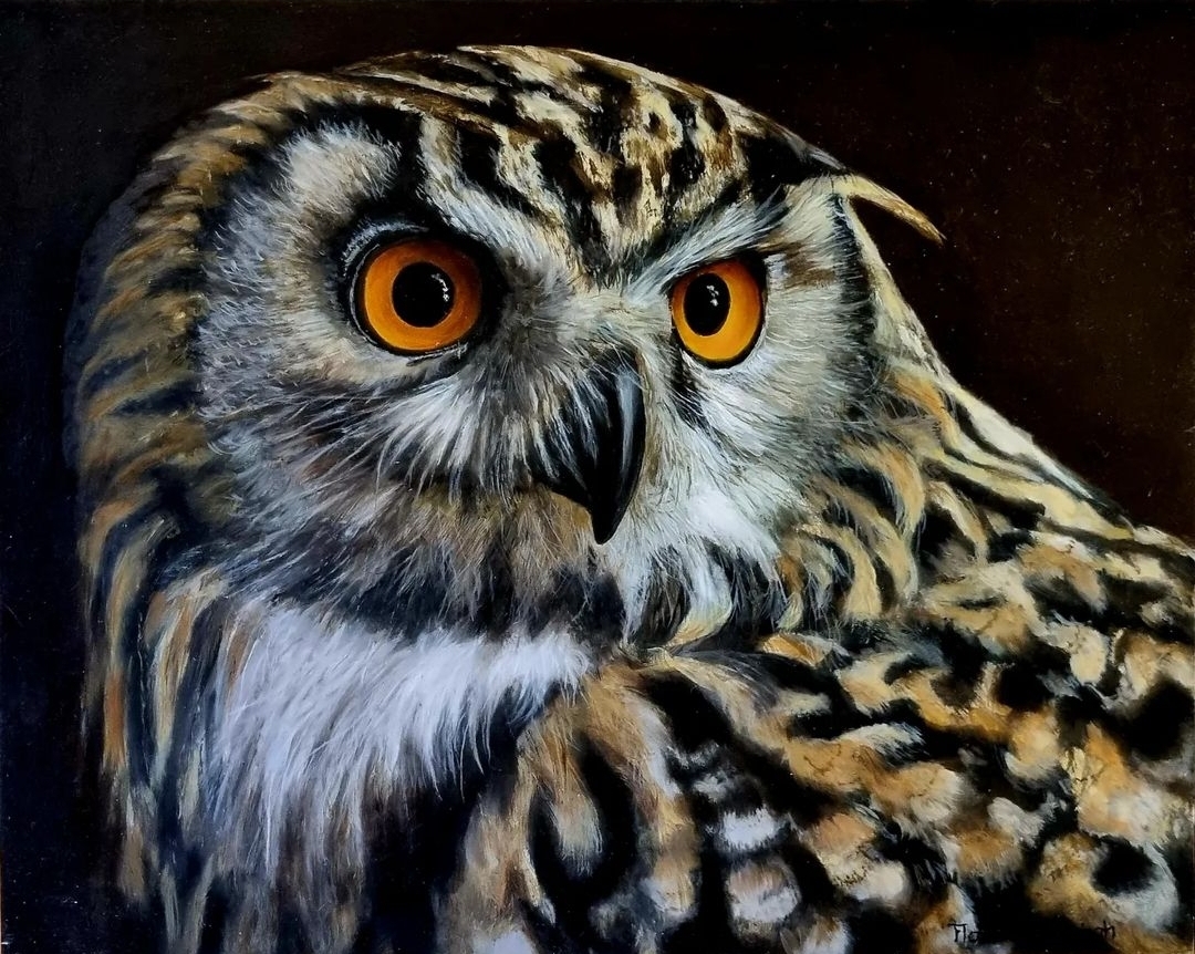 The Owl Painting