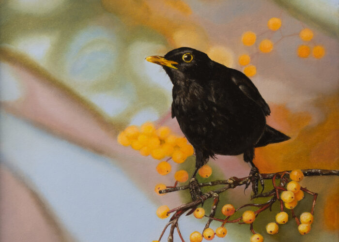 blackbird 2