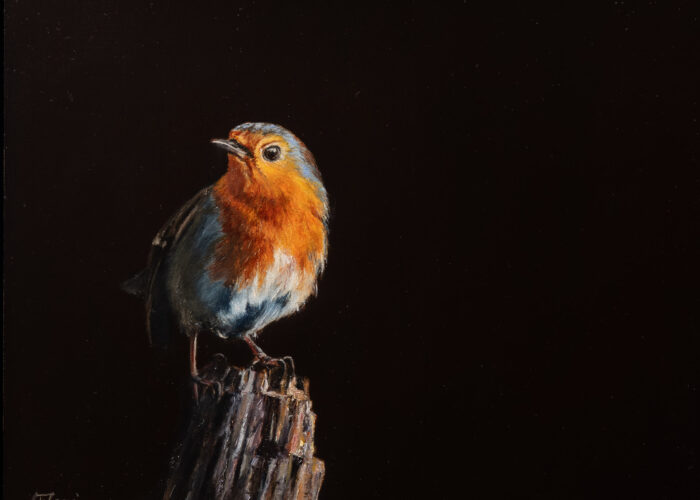 Charming Robin