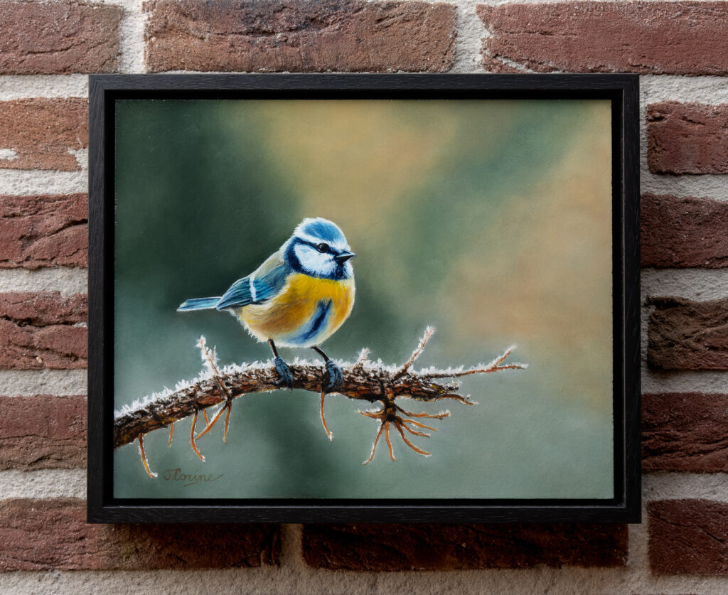 Blue tit