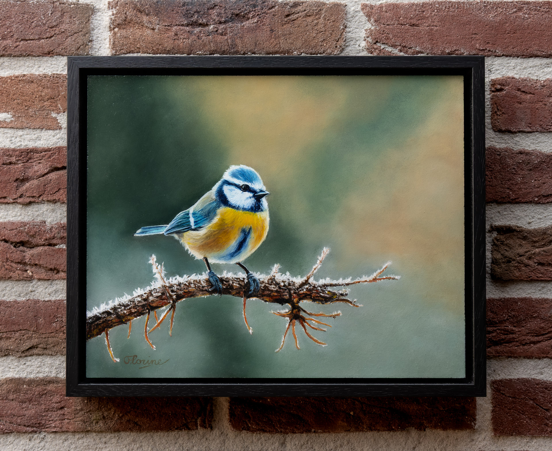 Blue tit