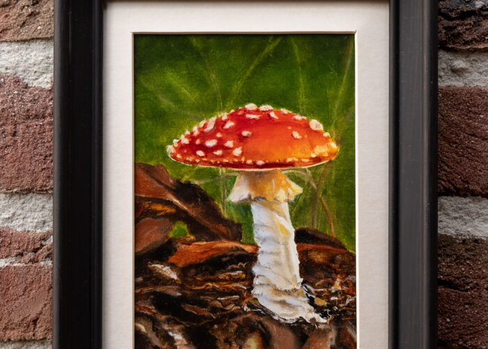Fly Agaric