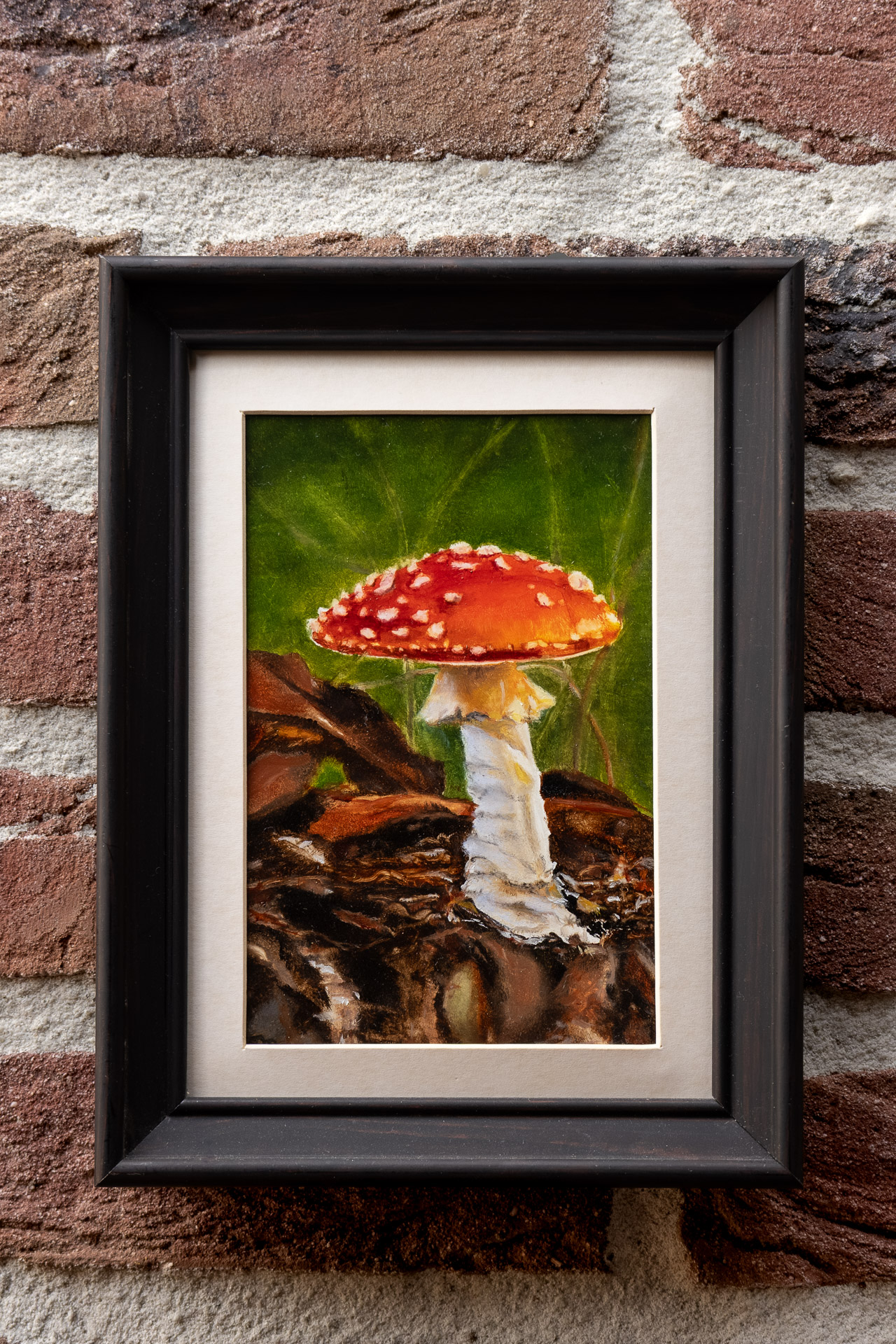 Fly Agaric