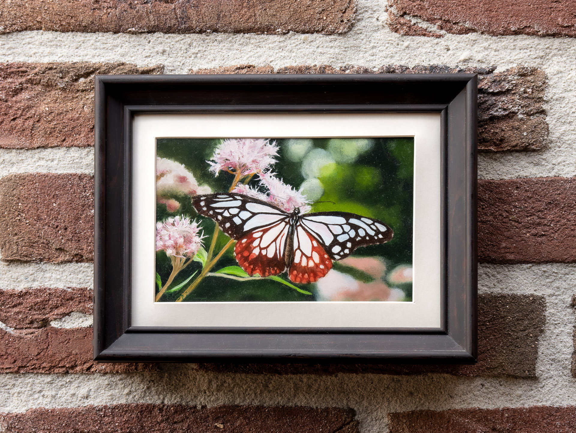 Chestnut Tiger butterfly