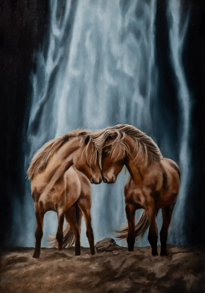 horses in iceland zonder frame